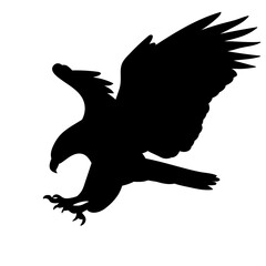 silhouette eagle, hawk flying, vector