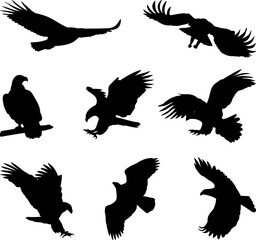 set of silhouettes birds flying, vector