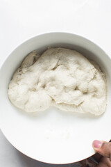 Bread dough resting in a bowl, process for making bread