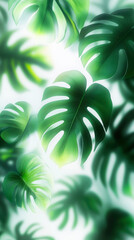 bright green leaves of exotic plant in sunlight, background