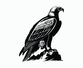 Fototapeta premium Golden eagle silhouette editable EPS vector isolated illustration template on a white background
