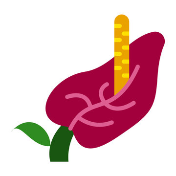 stylized burgundy anthurium flower illustration clip art preview