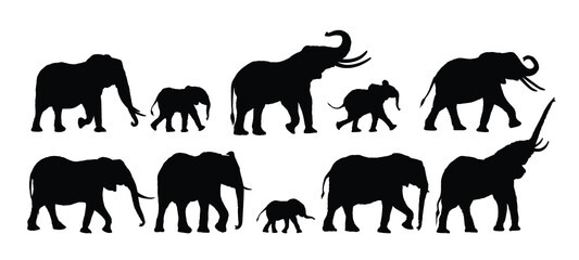 Set silhouettes of large and small Elephants.
