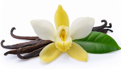 Vanilla flower and pods with leaves isolated on a white background. ai generated