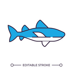 Shark RGB color icon. Apex predator. Marine animal. Ocean life. Sea creature. Aquatic ecosystem. Underwater wildlife. Isolated vector illustration. Simple filled line drawing. Editable stroke