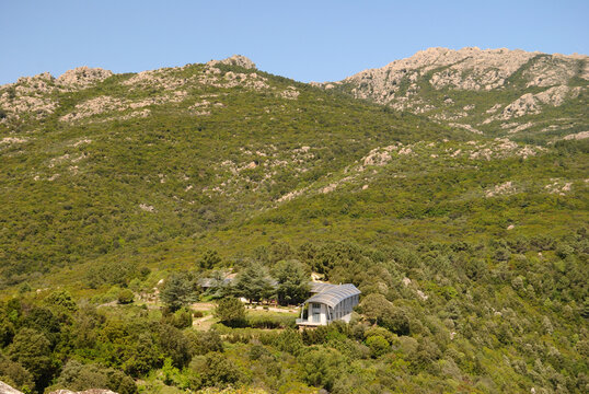 I boschi del Monte Limbara