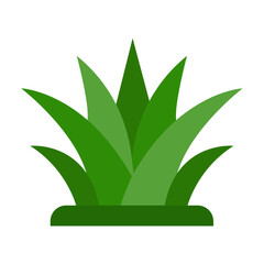 Aloe Vera Icon Style