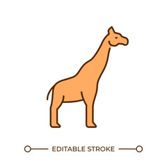 Giraffe RGB color icon. Long neck tall animal. African fauna. Wildlife. Savannah animal. Herbivore wild animal. Isolated vector illustration. Simple filled line drawing. Editable stroke