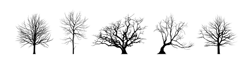 Obraz premium Winter tree silhouette. Leafless tree set.