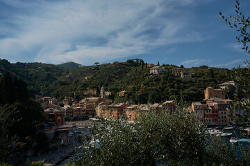 view from above of Portofino harbor boats and houses