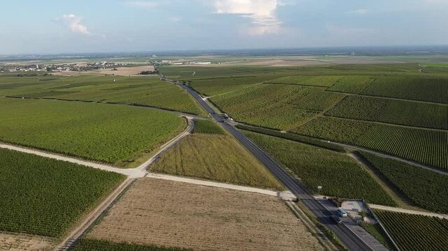 Aerial video, panoramic view of rows of green vineyards on slopes of Champagne region during grape harvest, champagne sparkling wine making in France along Marne River, premier and grand cru vineyards