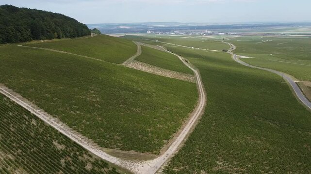 Aerial video, panoramic view of rows of green vineyards on slopes of Champagne region during grape harvest, champagne sparkling wine making in France along Marne River, premier and grand cru vineyards