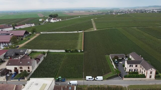 Aerial video, panoramic view of rows of green vineyards on slopes of Champagne region during grape harvest, champagne sparkling wine making in France along Marne River, premier and grand cru vineyards