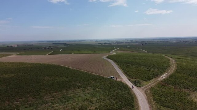 Aerial video, panoramic view of rows of green vineyards on slopes of Champagne region during grape harvest, champagne sparkling wine making in France along Marne River, premier and grand cru vineyards