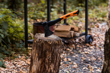 An axe will be stuck into a wooden log. Harvesting firewood for the winter season. Logging on the...