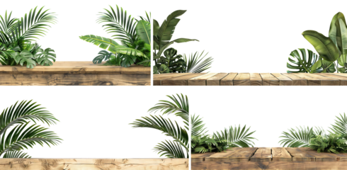 Set of empty natural wooden shelves with lush green tropical leaves, cut out