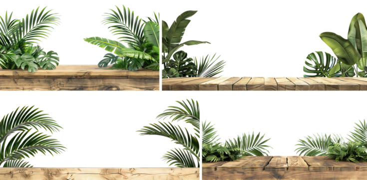 Set of empty natural wooden shelves with lush green tropical leaves, cut out