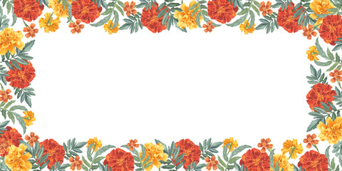 Marigolds. Horizontal frame of red and yellow flowers with greenery. Watercolor illustration. Floral arrangement of marigolds. Template from cempasuchil for summer cards, banners, backgrounds