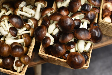 Autumn décor in the form of mushrooms