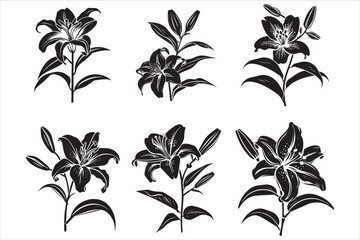 Minimalist Lily Flower Silhouette Vector Illustration