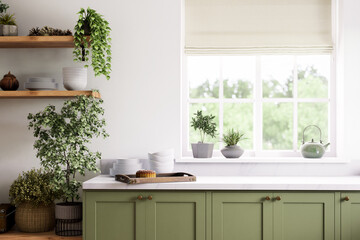 A modern kitchen with bright green cabinets and indoor plants to enhance the atmosphere