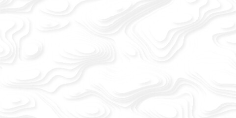 Abstract 3d white papercut topography relief vector background illustration for your design. gray and white wave. Abstract paper cut.