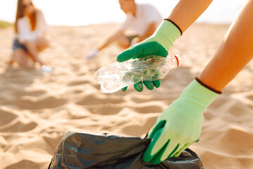 Groups of volunteers actively participate in a beach cleanup, collecting trash from the sand while...