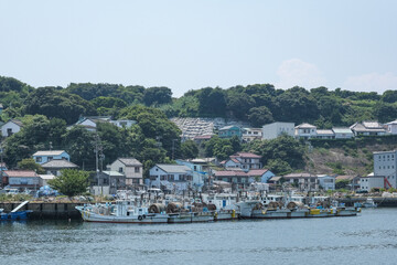 シラスの漁獲量全国一位の篠島漁港