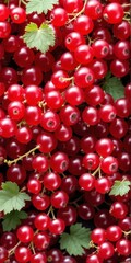 Red currant berries. Nature, organic food background