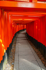 japanese shrine in kyoto country, Torii corridor, Fushimi Inari Taisha