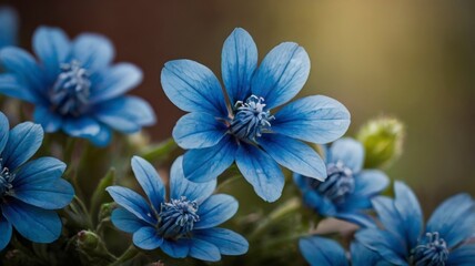Vibrant blue flower on display