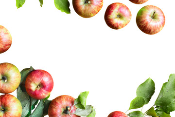 Red apples and leaves transparent png border frame