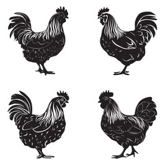 Sumatra chicken silhouette, vector, illustration, black only, black outline