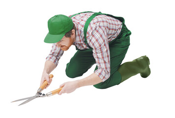 Professional gardener using hedge shears