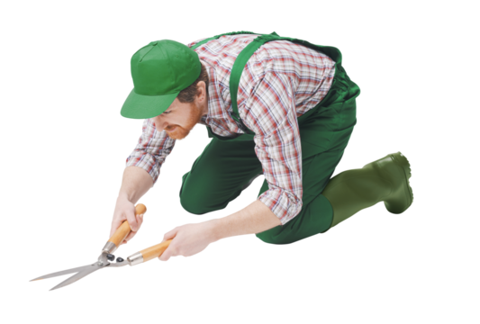 Professional gardener using hedge shears