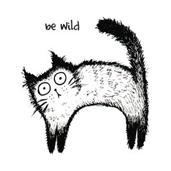 Obraz premium Vector illustration sketch of funny cat on white background