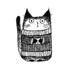 Vector illustration sketch of funny cat on white background