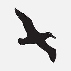 Albatross bird black silhouette vector Design.