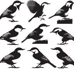 Black and White Bird Vector Illustration: Ornithology Art, Songbird Silhouettes, Wildlife Graphics, Nature Design Elements, Birdwatching Clipart