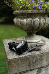 mirrorless camera in garden