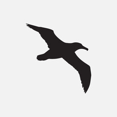 Albatross bird black silhouette vector Design.