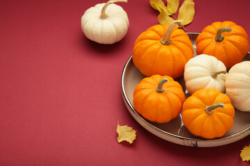 Autumn composition. Fresh orange and white pumpkin on plate with leaves on red background. Top view