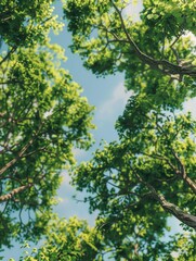 Fototapeta premium Bunch of spring trees under clear blue sky.