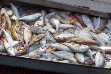 A vibrant assortment of freshly caught fish rests atop a bed of ice at a lively market, attracting customers seeking the best seafood for their meals.