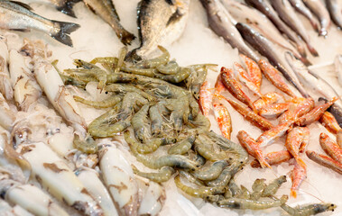 A vibrant collection of freshly caught seafood lies on display, featuring an array of shrimp, squid, and various fish, reflecting the lively atmosphere of a local fish market.