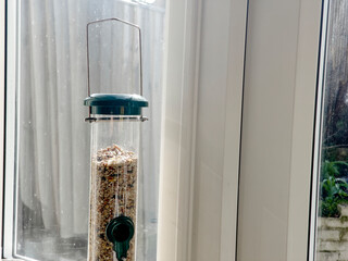 A detailed view of a green seed dispenser filled with a variety of mixed bird seeds, placed on a sunlit surface, ready for feeding birds.