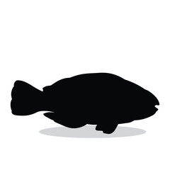 Fish silhouette, Fish Vector illustration, Fish isolated on white background																									