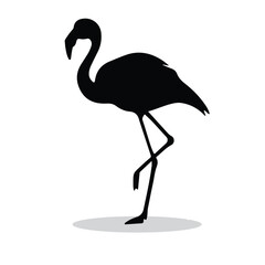 Flamingo silhouette, Flamingo Vector illustration, Flamingo isolated on white background																		