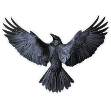 recommend clip art: Black raven bird with wings spread in flight isolated on black background, spooky goth aesthetic
