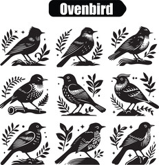 Ovenbird Bird Vector Illustration: Black and White Graphic Design Set of Songbirds in Nature, Ornithology Art for Print and Digital Use